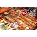 うなぎ 入舟 蒲焼き ウナギ 鰻 継ぎ足し タレ