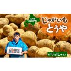 じゃがいも サツマイモ 青野農園 とうや Lサイズ 約10kg