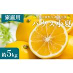 ふるさと納税 みかん・柑橘類 高知県 香南市  ４月中旬発送開始 小夏 5kg 日向夏 訳あり 高知 家庭用 土佐 ハウス小夏 訳あり 日向夏 こなつ 果物 フルーツ 土…