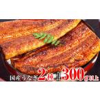 ふるさと納税 うなぎ 