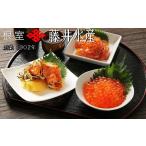 ふるさと納税 いくら 北海道 根室市 C-42015 鮭匠ふじい いくら・サーモンづくし