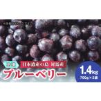 ふるさと納税 長崎県 対馬市 【24年7月以降発送】【好評につき予約受付中】大容量 対馬産 ブルーベリー 1.4kg（ 冷凍 ）【 さほの里ファーム 】《 対馬市 》 …