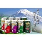 ふるさと納税 ビール 地ビール 静岡県 御殿場市 御殿場高原ビール・バラエティ 350ml 8缶セット