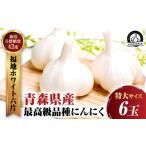 野菜類 薬味 2026年産 にんにくのよしだ家