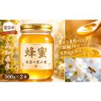 加工品等 はちみつ 安芸の里山蜜 500g×2本セット
