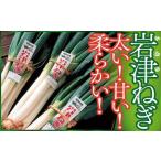 fu.... налог овощи вид лук порей Hyogo префектура утро . город предшествующий предварительный заказ утро . город Special производство [ скала Цу лук порей ]2kg( в коробке ) скала Цу лук порей скала Цу лук-батун свежий местного производства .. толстый мягкий аромат .. иллюзия. ....