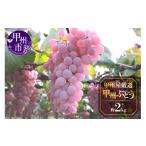 ぶどう 甲州屋厳選 甲州ぶどう 約2kg