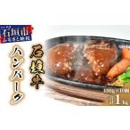 石垣牛ハンバーグ100g10個 ゆいまーる牧場