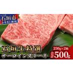 牛肉 ステーキ 石垣牛特選サーロインステーキ250gx2枚