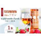 いちご 高級 100%ワイン Giftfromthe