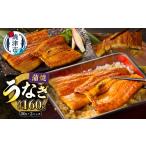 うなぎ a10-207 静岡うなぎ漁協 うなぎ蒲焼セット