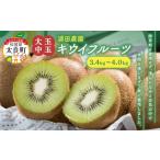 果物類 体が喜ぶ 大玉 中玉キウイフルーツ