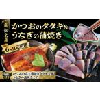 旬の鮮魚等 カツオ うなぎの高知の名産セット