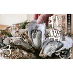 ふるさと納税 牡蠣 生牡蠣 岡山県 瀬戸内市 秀栄水産　瀬戸内の 牡蠣 （殻つき 約3kg） 海の幸 海のミルク 海鮮 貝 岡山県 瀬戸内市 虫明湾 No.5735-0417