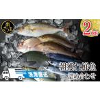 旬の鮮魚等 漁港直送 朝獲れ鮮魚 詰め合わせ 2kg