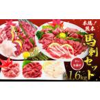 馬肉 馬刺し セット1.6kg 盛合わせ 大トロ
