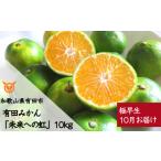 ふるさと納税 果物類 みかん 和歌山県 有田市 10月お届け 有田みかん「未来への虹」(10kg)(A233-2)