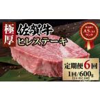 牛肉 ヒレ 定期便 佐賀牛ヒレステーキ 600g×6回