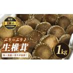 野菜類 きのこ 生しいたけ シイタケ 椎茸 野菜