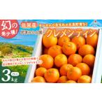 ふるさと納税 みかん・柑橘類 佐賀県 太良町 L-29x1 早津みかん園のクレメンティン 3kg 2026年1月下旬〜2月下旬まで順次発送予定 クレメンティン ヨーロッパ生…