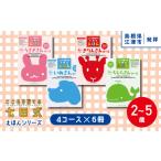 ふるさと納税 島根県 江津市 江津市 限定 返礼品：こころを育てる七田式えほんシリーズ(4コース×6冊)セットB SC-2 しちだ 七田式 絵本 子育て 教育 こども 子…