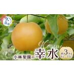 ふるさと納税 梨 埼玉県 久喜市 2025年 先行予約 梨 幸水 約3kg 18代続く梨農家|小林梨園 梨 フルーツ 旬 産地直送 数量限定 贈り物 新鮮 お取り寄せ デザー…