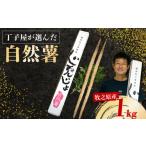 人参 大根 他根菜 R8年12月上旬からの発送