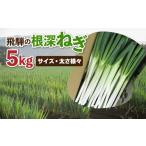 ふるさと納税 岐阜県 飛騨市 《先行予約》 訳あり 飛騨の根深ねぎ 5kg 薬味からお鍋までおすすめ！白ねぎ 白ネギ サイズ・太さ様々 不揃い 訳アリ ワケアリ 野…