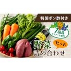セット 詰合せ 季節の野菜 詰め合わせセット