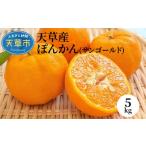 ふるさと納税 みかん・柑橘類 熊本県 天草市 S053-004_天草産 ぽんかん(サンゴールド)5kg〈先行受付〉