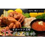 いくら オホーツク美味3大 セット 毛がに