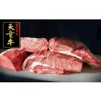 牛肉 セット 08-12-026 天童牛ご満喫コース