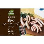 ふるさと納税 肉 ソーセージ 岐阜県 揖斐川町 No.5568-0086 森の ソーセージ 5点 セット 詰合せ 化粧箱入り 肉 フランクフルト ベーコン BBQ 焼肉 おつまみ …