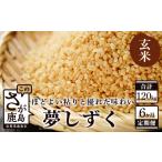 6ヶ月 毎月 お届け 夢しずく 白米 20kg