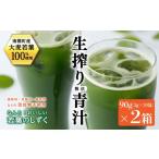 美容 南幌産 青汁 なんと おいしい若葉のしずく 2箱入り