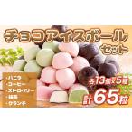 ふるさと納税 菓子 アイス 山口県 光市 A002 チョコアイスボールセット(65粒入) 5種類×13個 バニラ ストロベリー コーヒー クランチ 抹茶