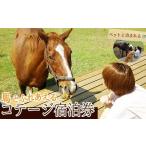 宿泊券 ペンション コテージ y074 馬とふれあう&amp;ペット…