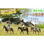 宿泊券 ペットと泊まる宿 y075 乗馬の外乗付
