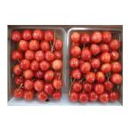 fu.... налог фрукты вид вишня Yamagata префектура сверху гора город вишня ( Sato .)1kg(500g×2 упаковка ) несессер входить 0056-2604