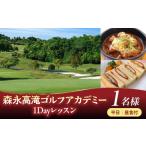 お食事券 森永高滝ゴルフアカデミー1Dayレッスン 1名様