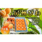 ふるさと納税 果物類 びわ 千葉県 鋸南町  2026年度先行予約 房州びわ 2Lサイズ 12玉入 ／ ビワ 枇杷 大玉 産地直送 千葉県 特産 フルーツ びわ 果物 F22X-004