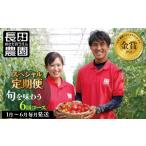 野菜類 トマト 大好評の定期便 先行受付 2027年1月~6月毎月…
