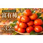 果物類 柿 富有柿 約3.2kg