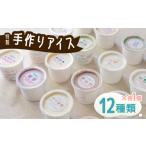 菓子 アイス 特製アイス ユニークな味6種類セット