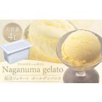 ふるさと納税 菓子 アイス 北海道 長沼町 長沼ジェラート(ゴールデンバニラ)4000ml 大容量4L アイスクリームギフト アイス アイスクリーム ジェラート 人気…