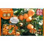 果物類 みかん 温州みかん 30セット