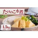 缶詰 瓶詰 野菜類 京都山城産 たけのこ水煮缶詰 1.5kg