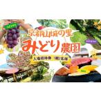 入場券 優待券 京都山城の里 みどり農園 四季の味覚めぐり