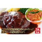 ショッピングふるさと納税 ハンバーグ ふるさと納税 牛肉 ハンバーグ 鹿児島県 南九州市 鹿児島県産黒毛和牛ハンバーグ・黒豚ロース味噌漬セット 1185853