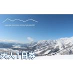 スキーチケット 白馬岩岳スノーフィールドリフト券